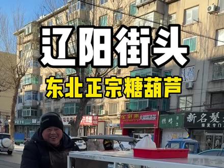 辽阳街头,东北正宗糖葫芦~ #美食 #糖葫芦 #路边摊 #抖音美食推荐官