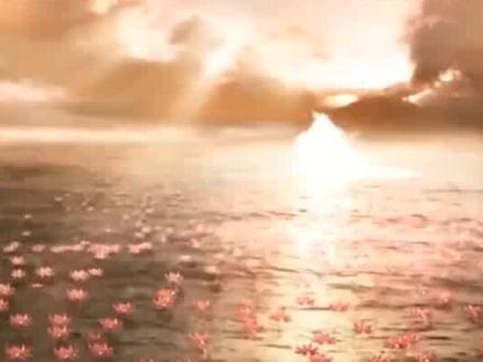 金毛吼走失观音不急不慌,为何丢了金鱼精却急到没穿鞋就去降妖?