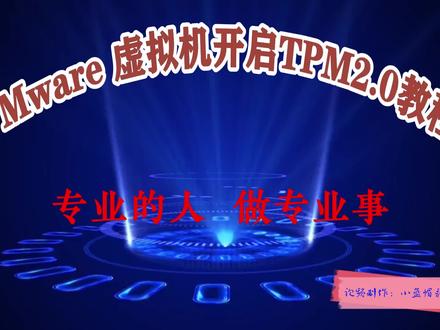 VMware 虚拟机开启TPM2.0教程