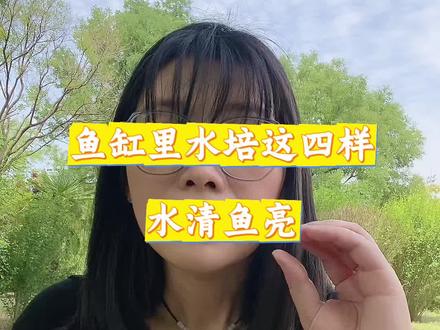 千万不要在鱼缸里面水培这几样#养鱼日记 #鱼儿水中游 #鱼儿游 #新手养鱼