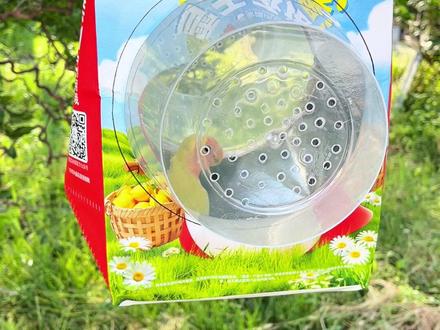 给鹦鹉做个外带笼,简单又方便#鹦鹉