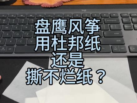 盘鹰风筝如何选用纸张?#盘鹰风筝 #盘鹰 #风筝