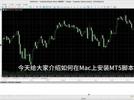 Mac上的mt5如何安装脚本 #mt5交易 #MacBook #mt5 #tmgm