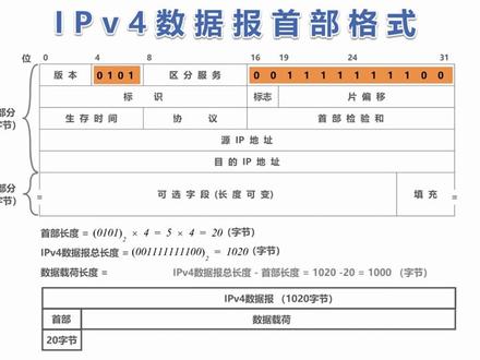 计算机网络简明教程:IPv4数据报的首部