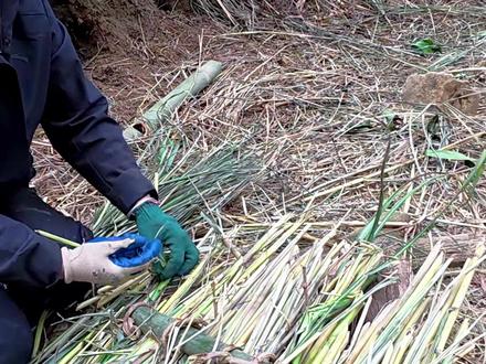 第九天 (2)我和我的猪队友 #我和我的猪队友 #户外建哥