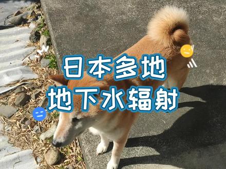 日本多地,地下水发现辐射?干啥啊要#日本留学 #日本打工 #海外生活 #老晒日本