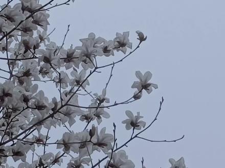 张小凡最后会跟陆雪琪在一起.#诛仙#碧瑶