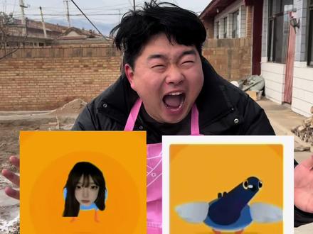 你们班的玩梗哥 #疯狂的鸽子 #真实还原 #玩梗 #搞笑