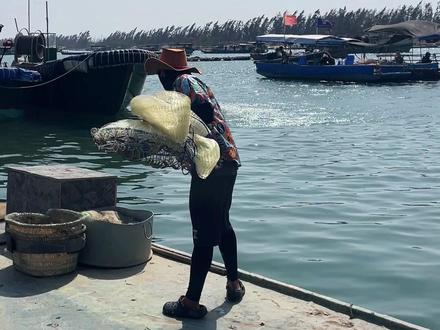 倾倾我心,这些海鱼来一锅杂鱼煲可好? #撒网捕鱼 #赶海抓鱼