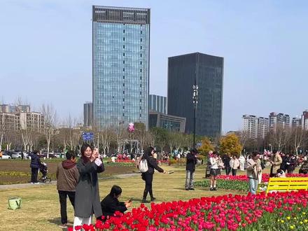 嘉兴郁金香开了 #姚家荡公园 #春天的味道 #花开