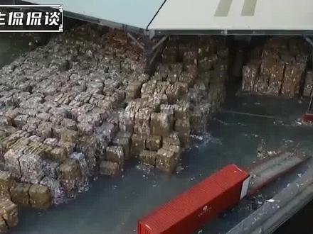 外国垃圾中国处理?洋垃圾禁令下仍冒险走私,其背后利益究竟多大#洋垃圾 #垃圾回收 #环保 #科普