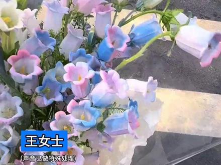 玩游戏真的能拿到花花! #我的花园世界#玩游戏送真花
