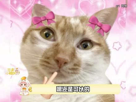 虽然是搞抽象,但不得不说,钎城确实是百灵鸟组织里最能开的出来演唱会的人了。#KPL #唱歌 #钎城 #抽象 #无畏