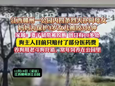 江西赣州一公园内四条烈犬扑向母女,妈妈为保护3岁女儿被咬3分钟,家属:妻子韧带被咬断 创口有10多处,狗主人目前只赔付了部分医药费,养狗用老斗狗狩猎,常年饲养在公园里