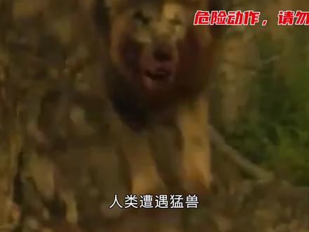 失去武器,人类只是猛兽的点心吗?(2)