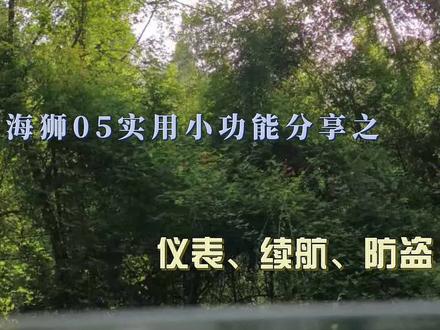 海狮05实用小功能分享 如何设置仪表盘亮度、显示续航里程以及如何防盗。#海狮05dmi #买车后的生活 #实用小技巧分享