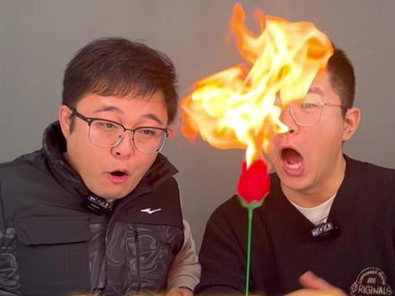 这玫瑰花魔术只能中午变啊! #测评 #魔术揭秘 #玫瑰花