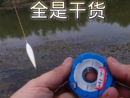 做钓环境水面有水草,水底有杂草和铁丝网,水流较快,白条,麦穗,鲫鱼大量存在。配置竿:刚舟鲤飞磕3.6米