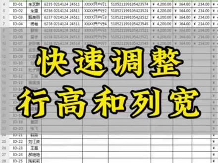 Excel 表格快速调整行高和列宽 #excel #excel技巧 #wps #办公技巧