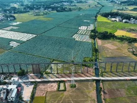 常宁板桥荷花灯会将于今晚七点开始!让我们一起共享中秋月!#常宁 #中秋节 #荷花灯 #非物质文化遗产