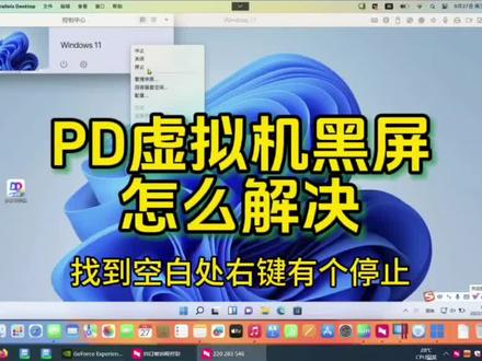 pd虚拟机Win11黑屏只有一个鼠标改怎么解决?#pd虚拟机 #m2虚拟机 #m1虚拟机 #电脑维修