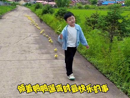 又是一年养鸭季!七大姑八大姨家的鸭鸭又被这小家伙领出来遛弯了😂 #金牌育言家#聪明小脑袋国宝也可AI