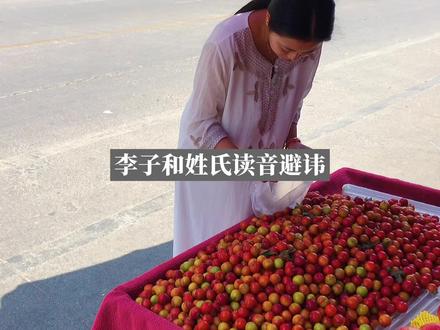 李子、柰子和姓氏读音避讳 #方言