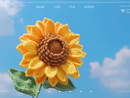 【双层向日葵 编织教程1】
全网最详细的编织教程,手残党福音!是真的想教会你!
#向日葵 #手工编织零基础教学