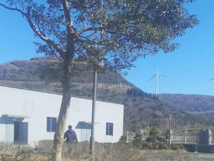 花8分钟看完风电工程师的一天。这里一台风机满发情况一小时发1500度电。