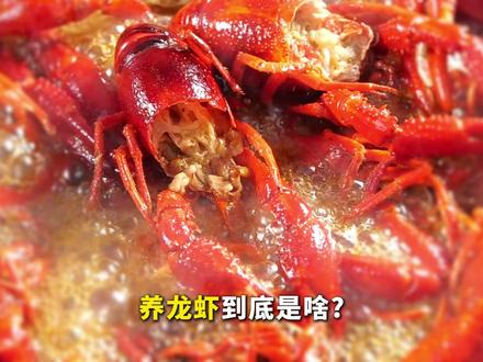 养龙虾到底是啥? 它的英文名叫#OPENCLAW 就是在你电脑里装 AI 打工仔,你动口、它动手!#锐龙AI #锐龙AI释放AIPC超能力 #芯机研究所