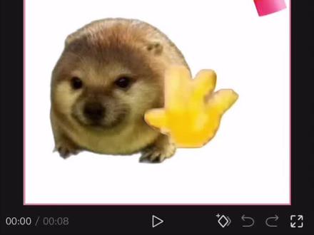 打招呼小猫抖音表情包教程来啦 新年用hello打招呼 #hello猫 新年搞笑打招呼 hello打招呼 小猫说hello 哈喽小猫表情包图片 #剪映 #hello表情包 hello小猫图片 新年流行hello打招呼 小黄人打招呼hello #hello挥手动作模板 新年打招呼 hello猫视频 小猫说hello 新年流行#hello打招呼 hello小猫图片 hello模板