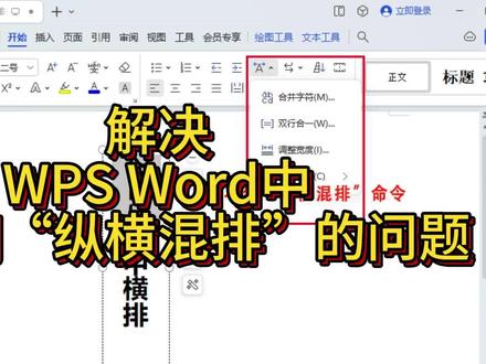 解决WPS Word中找不到“纵横混排”的问题