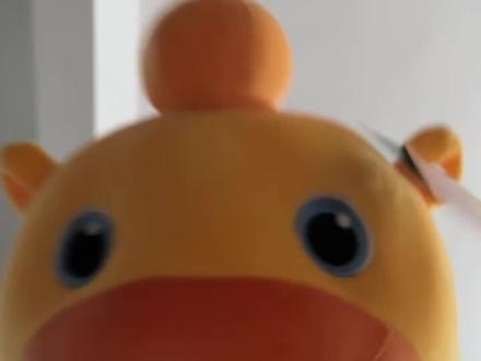 #喵阿里嘎多手势舞 弟弟偷偷给我买的噜噜#水豚噜噜