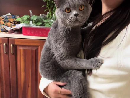 公主大队这么给力 我也要好好加油养好身体 现在满满好心情 也有好好吃饭好好睡觉.#安静公主