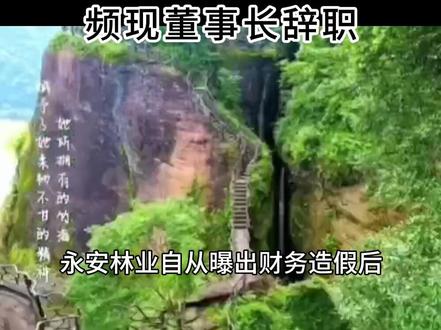 央企永安林业财务造假后频现董事长辞职