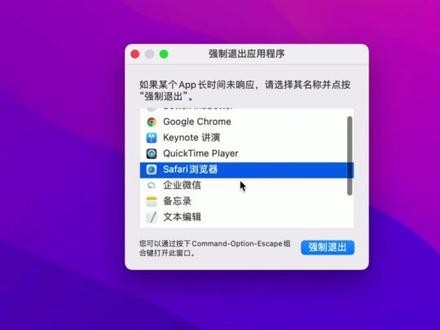 遇到关不上的界面,这样就可以强制退出了。#强制退出 #Mac