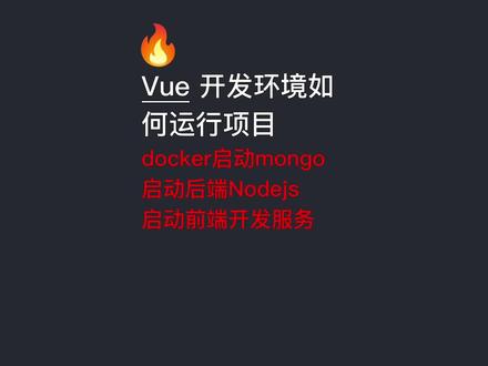财务管理后台-开发环境-如何启动项目-启动mongo-后端-前端服务 #前端 #程序员 #代码 #vue