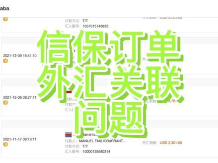 信保订单外汇关键问题
