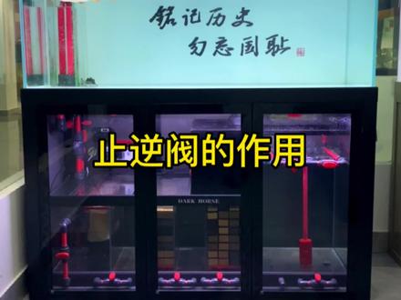 #龙鱼缸#鱼缸过滤 #超白鱼缸 停泵溢水怎么办?