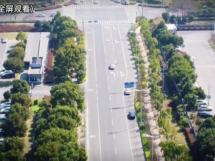 科目三考试现场第23集! 措不及防 #考驾照 #科目三考试 #无人机航拍