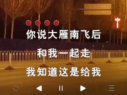 最近被这首歌洗脑了#洗脑神曲 #神曲