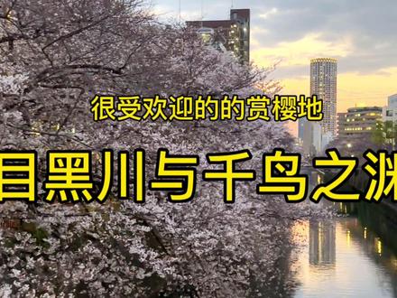 东京的两大知名赏樱地~千鸟渊和目黑川,差异还是很大的。 #赏樱 #带你看樱花 #樱花季