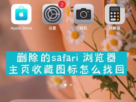 删除的safari 浏览器主页个人收藏图标怎么找回?#苹果手机新技能 #苹果手机 #safari #