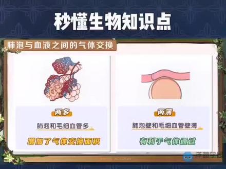 秒懂生物“人体的呼吸”#小知识 #生物