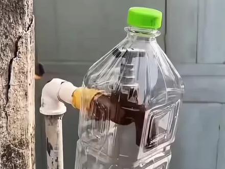 #空瓶子的妙用 #变废为宝 #生活小技巧 #生活小技巧学会你就捡到宝了 #空瓶子变废为宝