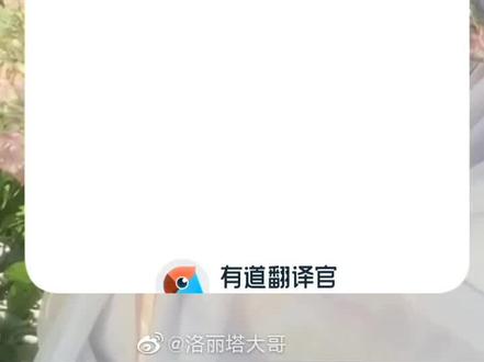 有道翻译悬浮球的使用方法