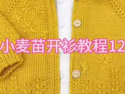 小麦苗开衫教程12-1