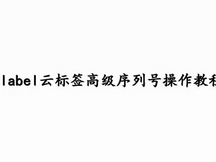 #Dlabel云标签 PC端-高级序列号操作设置