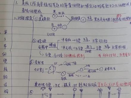 高考基础夯实课,细胞核的结构和功能 3分钟过一节课,夯实高考必考基础。细胞核的结构和功能。#高中生物 #高考生物#细胞核 #细胞结构