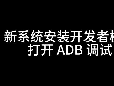 安装开发者模式打开 ADB 调试